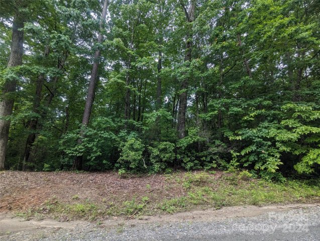00 Jones Court LOT 552 active home in Riverbend Highlands, Lake Lure, NC