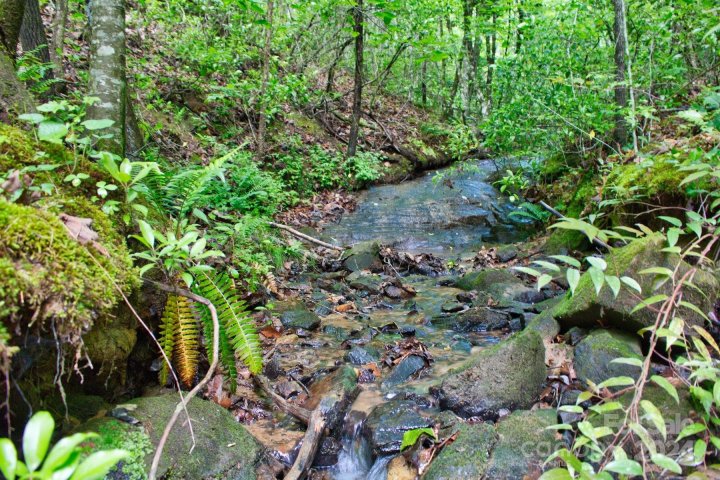 0 Juniper Creek Drive 28 sold home in Sweetbriar Farms, Lake Lure, NC