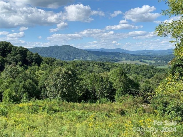 25 Farm Cove Lane sold home in Blue Mist Farms, Leicester, NC