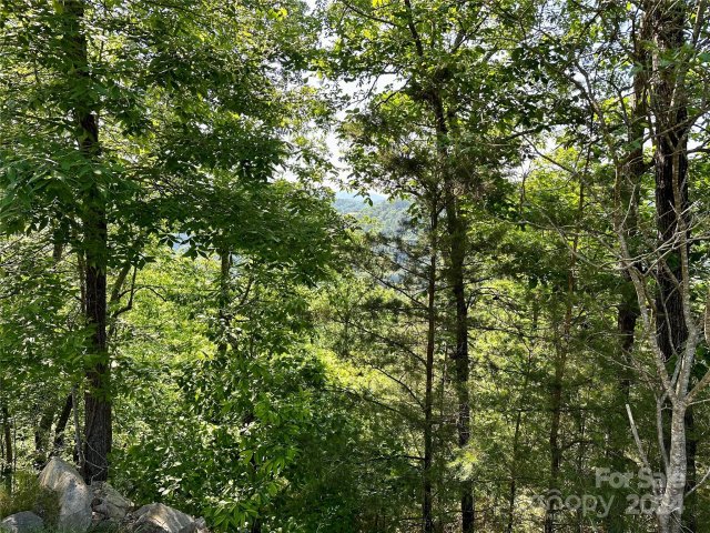 387 Wild River Run active home in French Broad Crossing, Marshall, NC