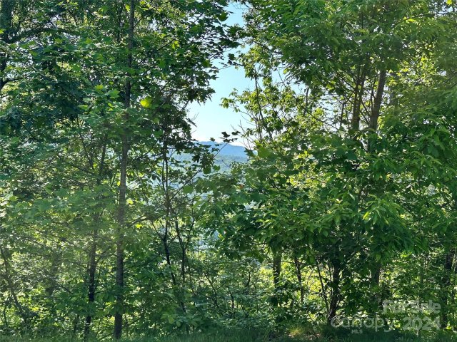 385 Wild River Run active home in French Broad Crossing, Marshall, NC