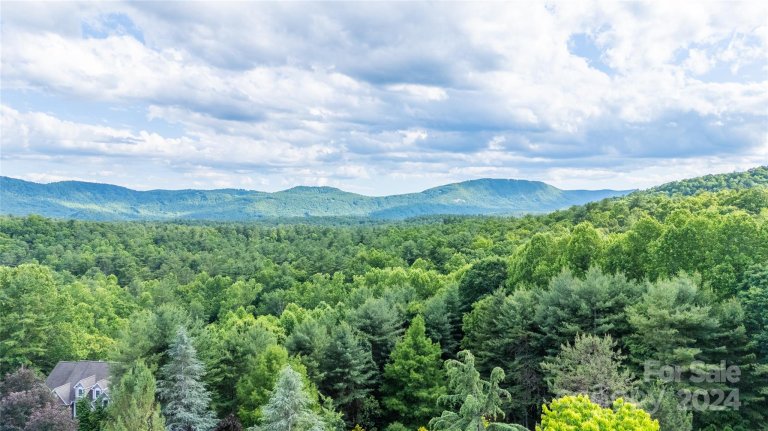 0 South Ridge Drive 61/62 sold home in Wilson Farm, Hendersonville, NC