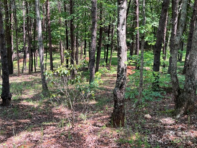 000 Mcdaniel Court 23 sold home in Shumont Estates, Lake Lure, NC