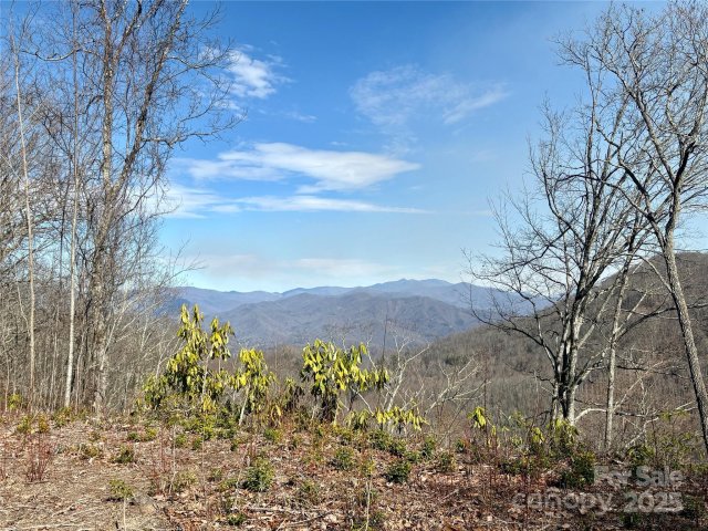 0 Highlands View Drive 56 sold home in Coppermine Ridge, Whittier, NC