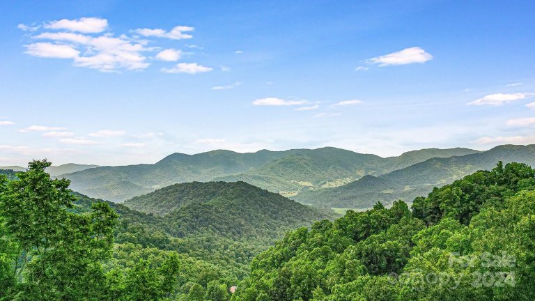 650 Freemont Street 81 active home in Whisper Mountain, Leicester, NC