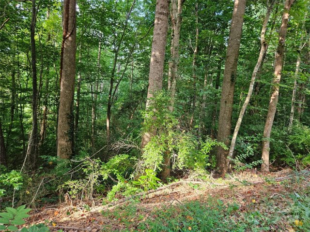 00 General Griffith Circle 31 active home in Rutherford Towne, Rutherfordton, NC