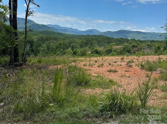 Tbd Nors Way sold home in Indian Head Acres, Lake Lure, NC