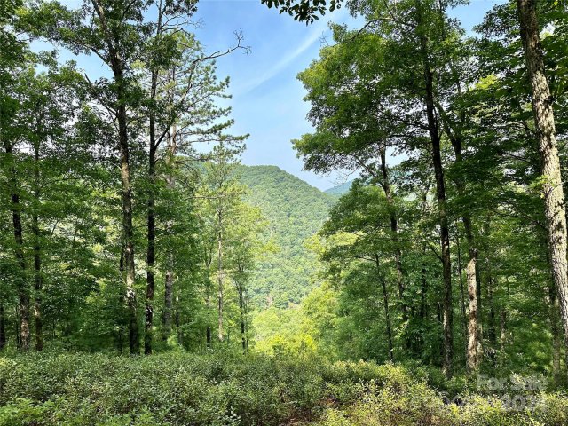 151 Wild Turkey Loop 29 active home in French Broad Crossing, Marshall, NC