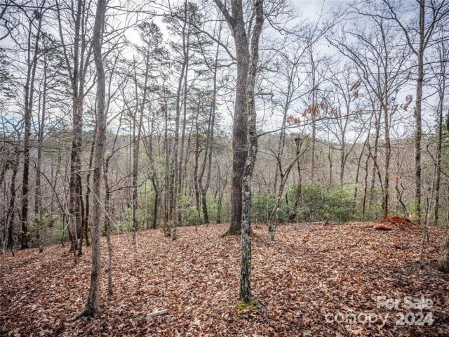 163 Pheasant Street active home in Riverbend At Lake Lure, Lake Lure, NC