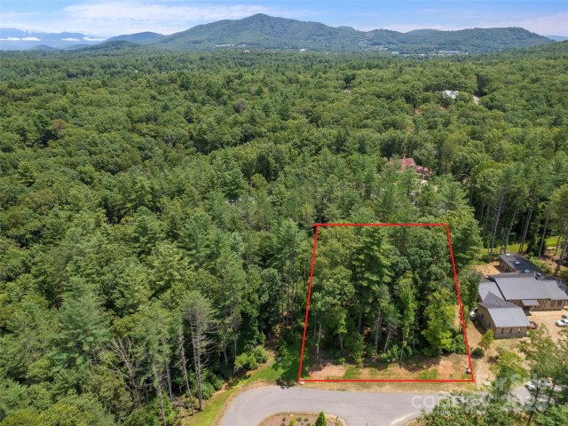 323 Flowering Vine Court 617 active home in Ramble Biltmore Forest, Asheville, NC