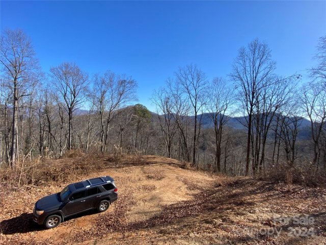 78 126 Mountain Magnolia Drive sold home in Moores Valley, Leicester, NC