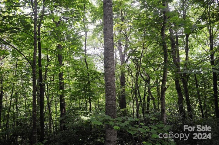17 Wood Haven Lane 111 active home in Laurel Ridge, Black Mountain, NC
