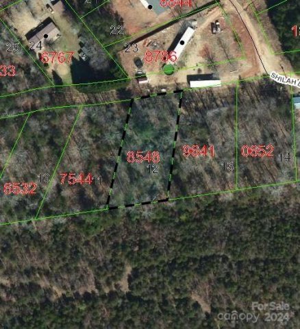 Tbd Biggerstaff Loop pending home in Goldpytte, Nebo, NC