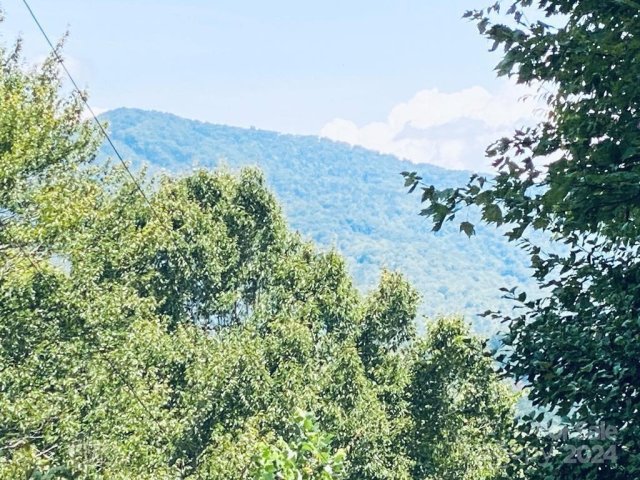 Lot 21 Torwood Lane sold home in Torwood, Whittier, NC