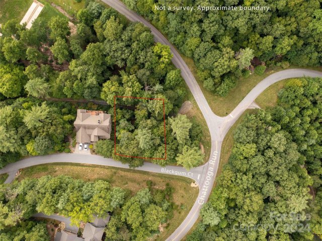 700 Blackgum Court 344 active home in Champion Hills, Hendersonville, NC