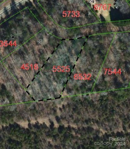 Tbd Biggerstaff Loop lot #9 sold home in Goldpytte, Nebo, NC