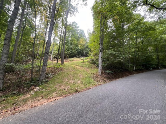 0 Country Club Drive active home in Springdale Estates, Canton, NC