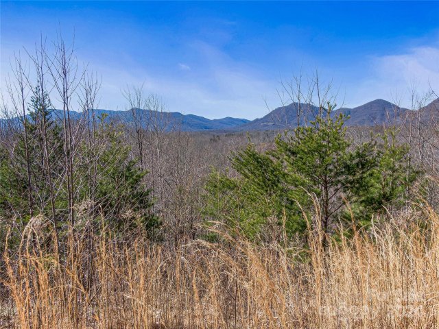 0000 Holland Drive 40 & 41 sold home in The Sanctuary of Tryon, Columbus, NC