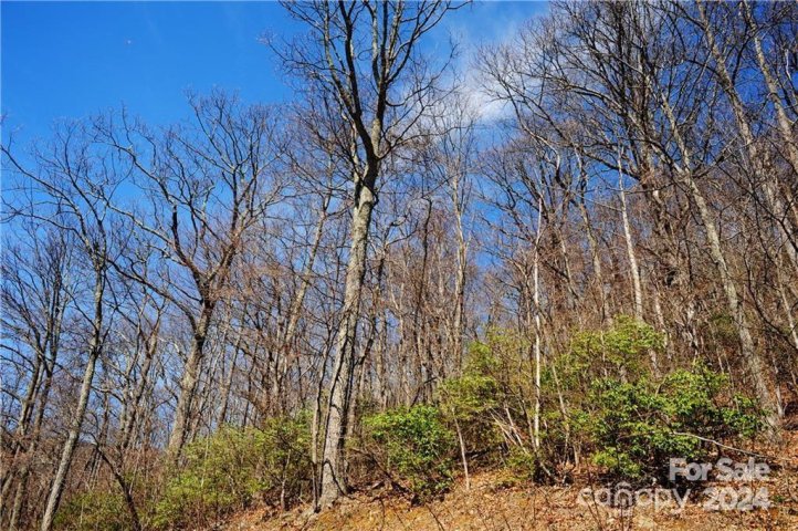 35 Wedgewood Terrace 1104 active home in Laurel Ridge, Black Mountain, NC