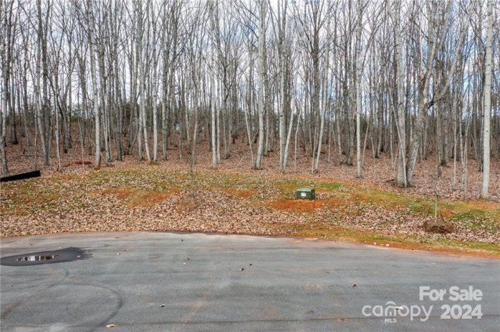 Lot 10 Brancer Lane sold home in Magnolia Ridge, Lincolnton, NC