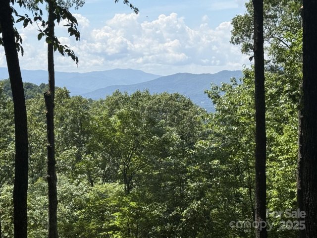 Lt 176 E Reach Road active home in Balsam Mountain Preserve, Sylva, NC