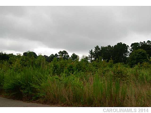 1115 Reba Lane sold home in Canebreak Ridge, Kannapolis, NC