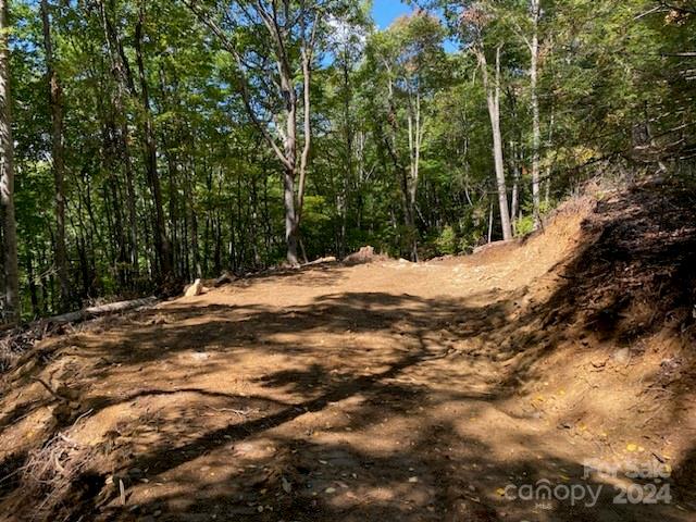 Lot G 43 Odalu Trail active home in Smoky Mountain Retreat At Eagles Nest, Maggie Valley, NC