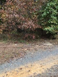 000 Woodhaven Lane sold home in Rosemary Park, Indian Trail, NC