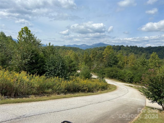 0 Willow Top Lane active home in Vista At Bills Mountain, Lake Lure, NC