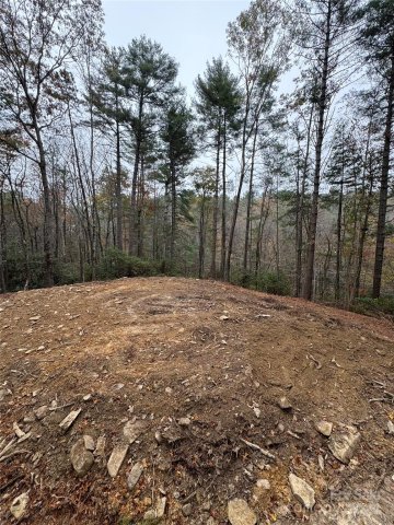 Tbd Frozen Creek Road 23-24 sold home in Oak Laurel, Brevard, NC