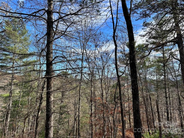 625 White Water Way active home in French Broad Crossing, Marshall, NC