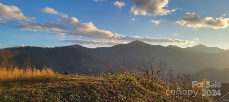 92 Prestige Point sold home in The Preserve At Jonathan Creek, Waynesville, NC