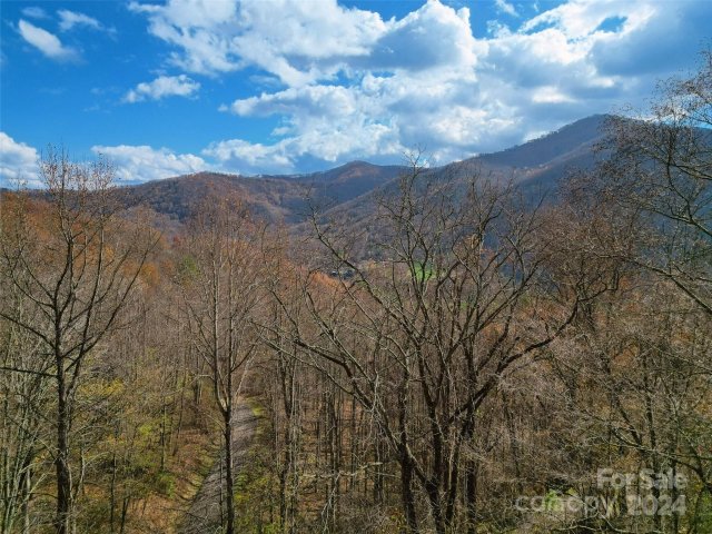 Homes in Scarlet Oaks, Maggie Valley