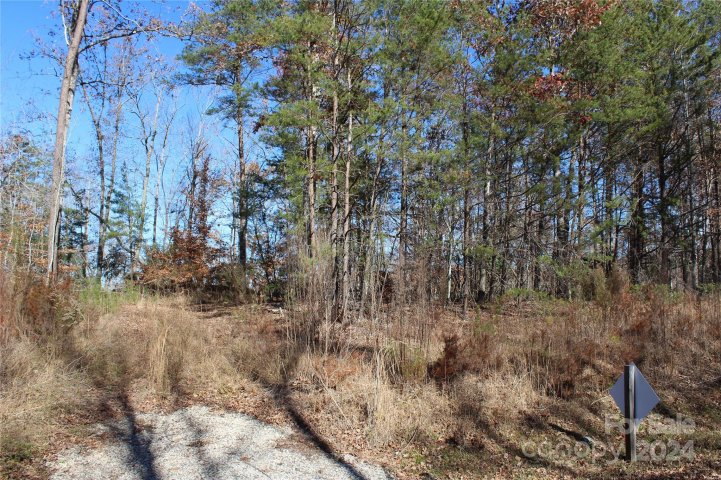453 River Ridge Parkway sold home in River Ridge of Cleghorn South, Rutherfordton, NC