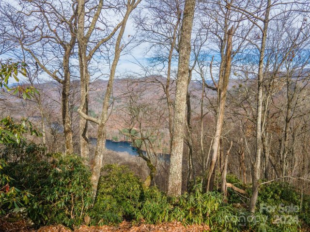 520 Morningside Drive 51 active home in Bear Lake Reserve, Tuckasegee, NC