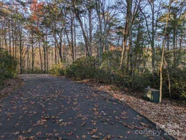 0 Willow Lane active home in Morgan Chapel Village, Columbus, NC