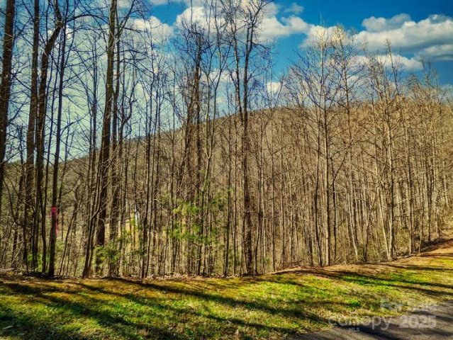 45 Ashewood Mountain Way sold home in Ashewood, Candler, NC