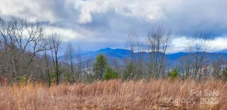 255 Clearview Lane 12 active home in French Broad Crossing, Marshall, NC