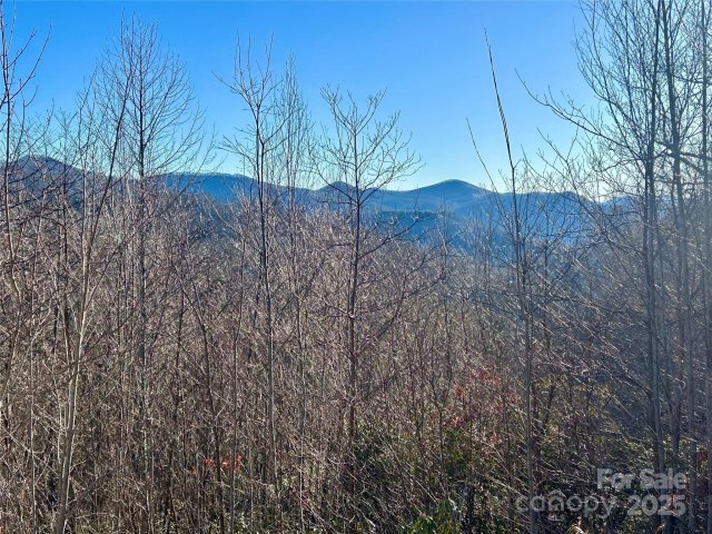 Lot 74 Freedom Way active home in Alarka Highlands, Bryson City, NC