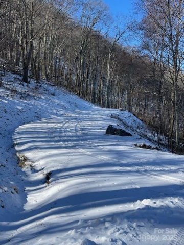 00 Wandering Trail 98 active home in Avalon, Waynesville, NC