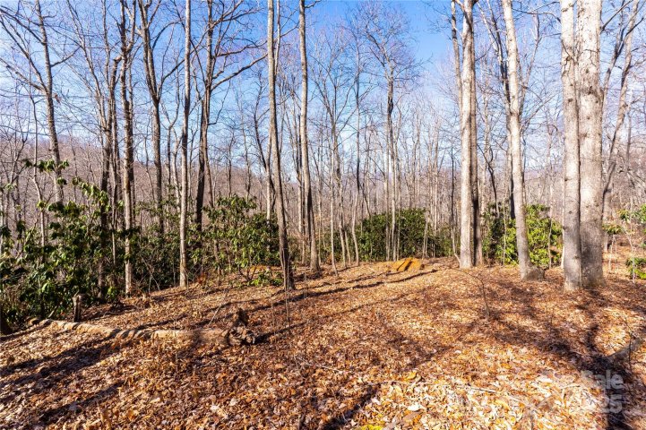 1248 Arborcrest Way 46 active home in High Hickory, Swannanoa, NC