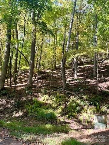 Tbd Hickory Vista Lane 101, 102, 103, 106, 107 active home in High Vista, Mills River, NC