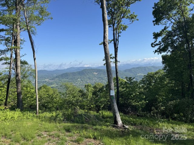 0000 West Garden Trail Lot 67 active home in Sprout, Hendersonville, NC