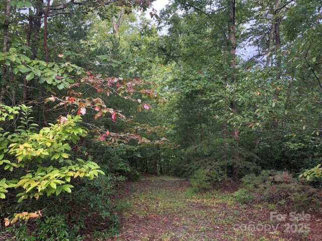 81 N Mill Ridge sold home in Cascade Highlands, Nebo, NC
