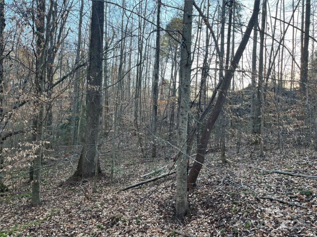 Homes in Westgate, Rutherfordton