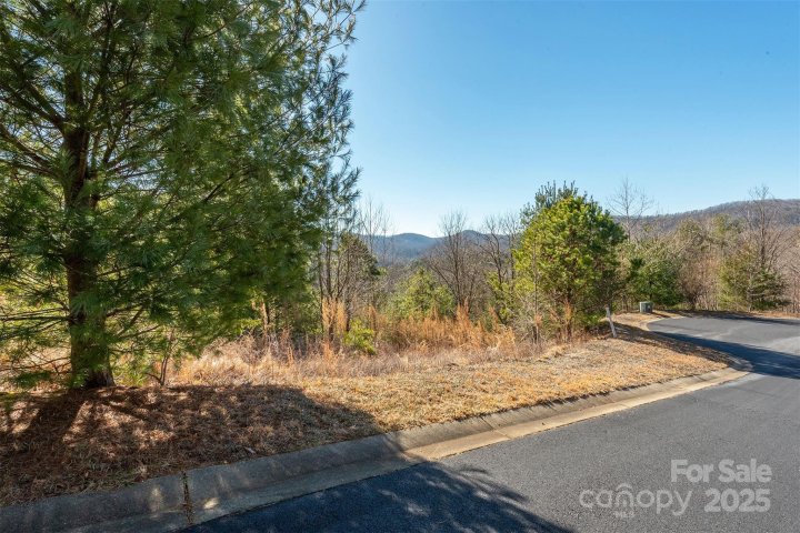 99999 Woodhen Way 138 & 139 active home in Homestead at Mills River, Horse Shoe, NC