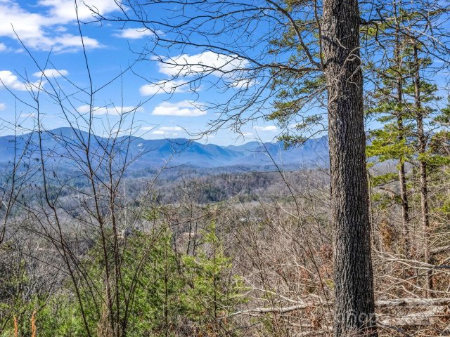 Homes in Vista at Bills Mountain, Lake Lure
