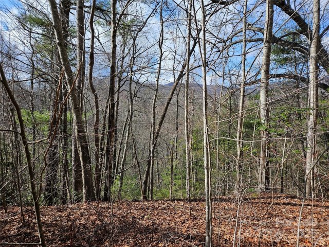 00 Wispy Willow Drive 24T active home in Twin Oaks Estate, Waynesville, NC