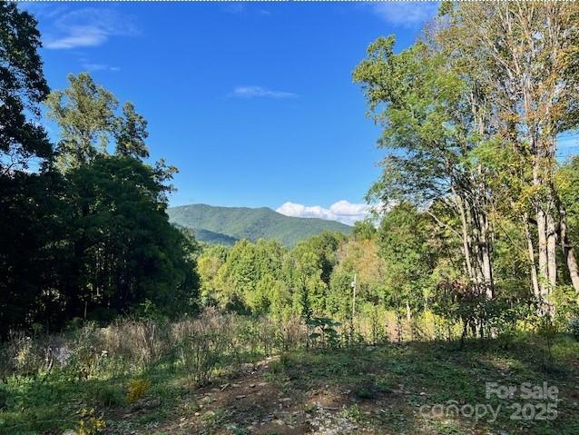 89 Cisco Cove R8 sold home in Cataloochee Ranch Estates, Waynesville, NC