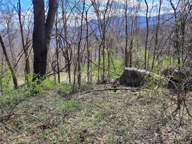 0 Purple Martin Lane sold home in The Willows, Waynesville, NC